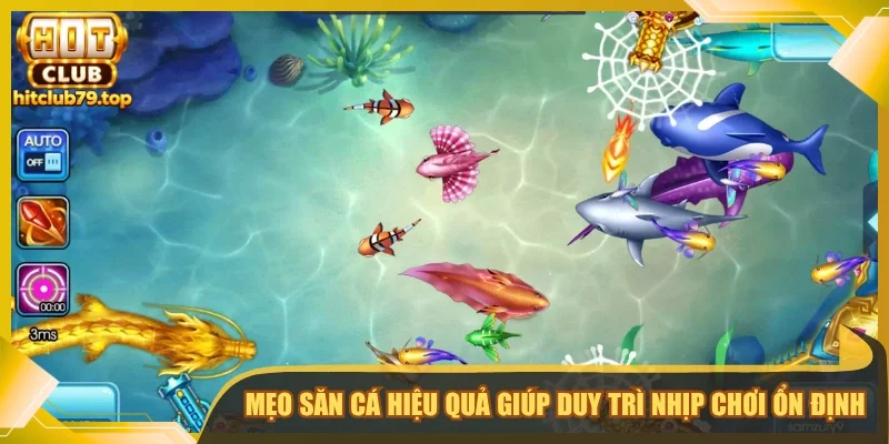 Mẹo săn cá hiệu quả giúp duy trì nhịp chơi ổn định